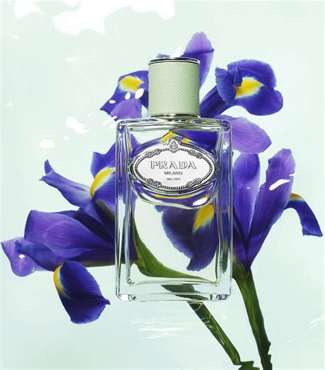 primor iris prada|Infusion d'Iris (2015) Prada for women .